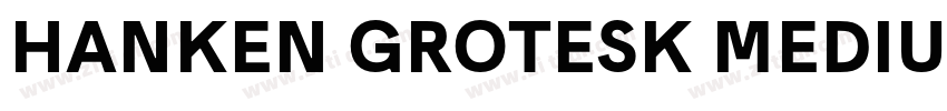 HANKEN GROTESK MEDIU字体转换